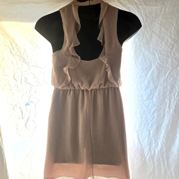 Pretty Blush Pink Ruffle Dress EUC - Picture 4 of 9